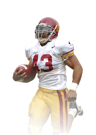 Troy Arumua Polamalu